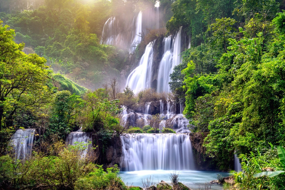 Dudhsagar Waterfall Trek Dudhsagar Waterfall Trek