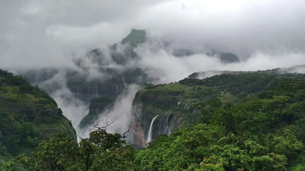 Andharban Forest Trek