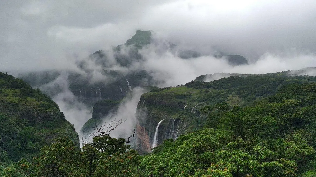 Andharban Forest Trek