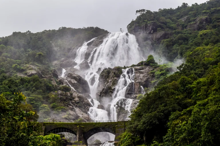 Why Dudhsagar Waterfall is the Trek of a Lifetime