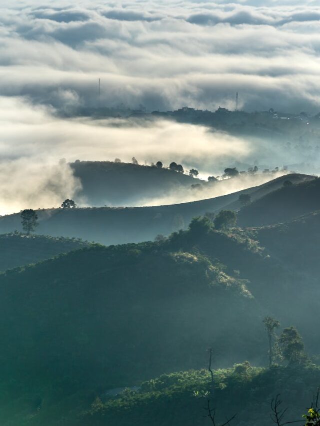 Best Trekking Places in Coorg: Monsoon Trails You Can’t Miss in 2025